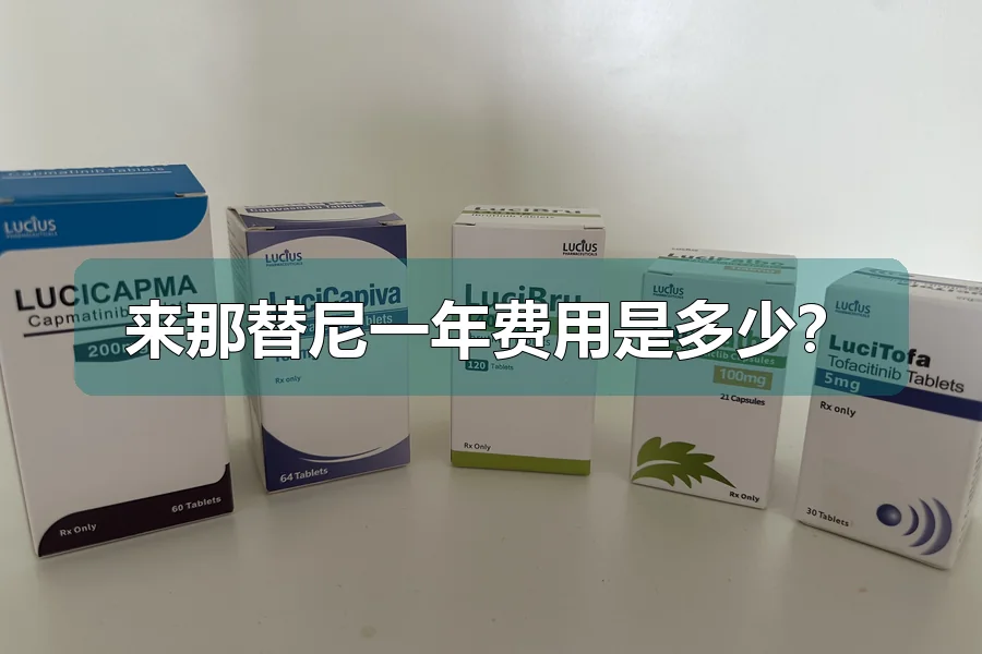 来那替尼一年费用是多少?